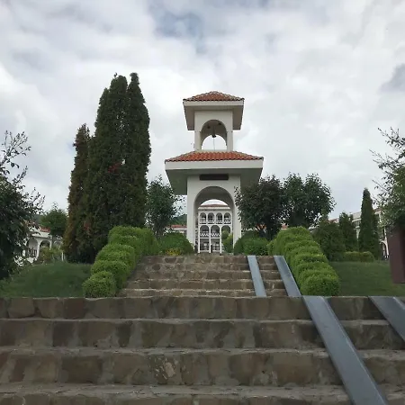 Kambani Nadezhda سفيتي فلاس