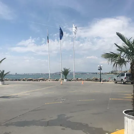 Kambani Nadezhda سفيتي فلاس